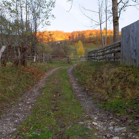 Kings Valley - Sunny Botesti Cîmpeni Eksteriør billede