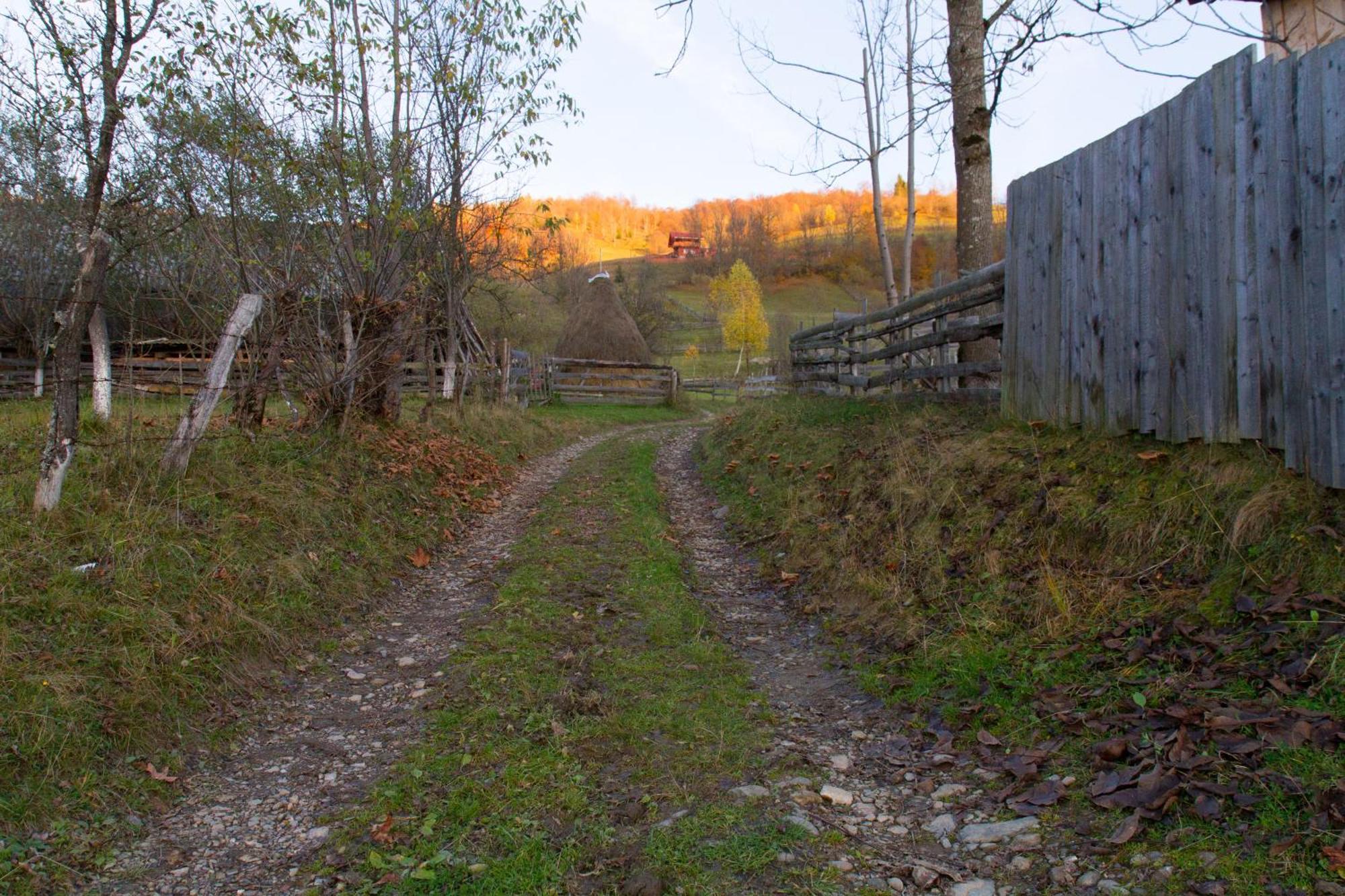 Kings Valley - Sunny Botesti Cîmpeni Eksteriør billede