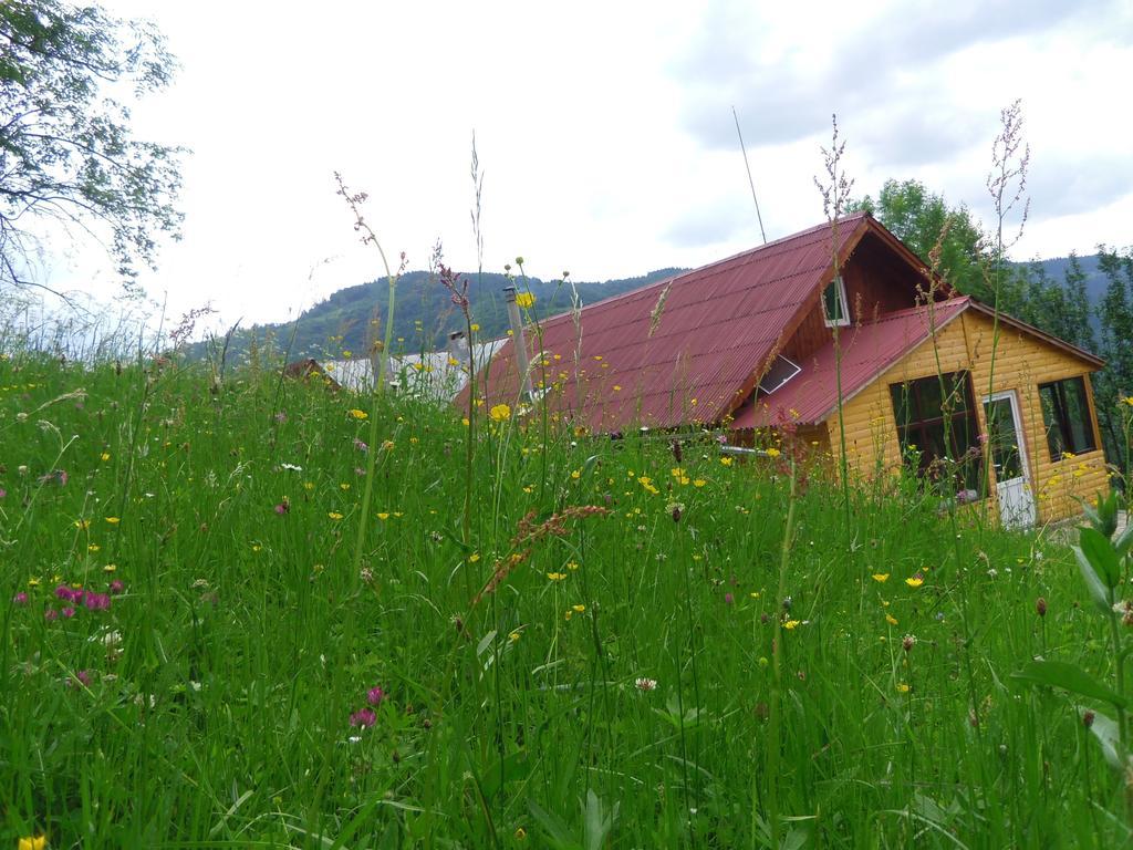 Kings Valley - Sunny Botesti Cîmpeni Eksteriør billede